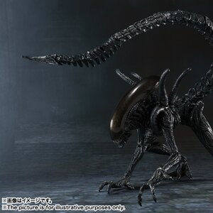Alien Warrior "Alien vs Predator"