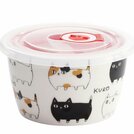 Three Cat Siblings Container Set