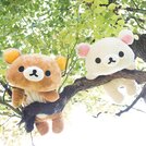 Rilakkuma Kutafuwa Plush Collection (Large)