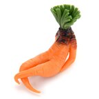 Sexy Sitting Carrot