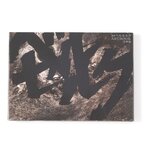 Berserk Movie Artbook - Art Edition