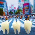 Butt Tooth Keychain Collection