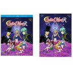 Sailor Moon R the Movie