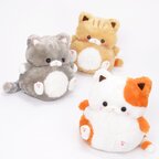 Mocchiri Neko no Kinako Plush Trio