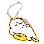 Neko Atsume Slide Mirrors