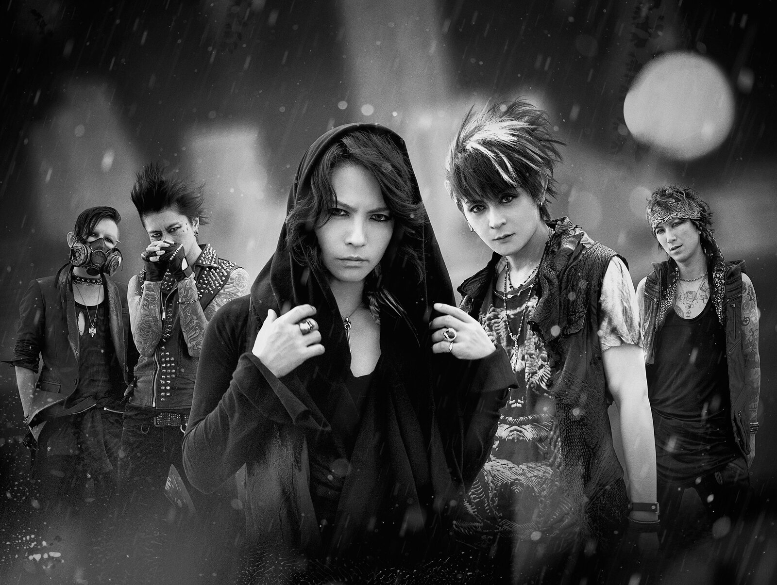 vamps