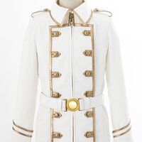Fate/Apocrypha Caules Forvedge Yggdmillennia Cosplay Outfit Set