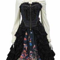 Ozz Oneste Corset w/ Overskirt