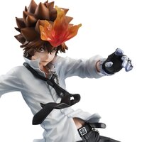 G.E.M. Series Katekyo Hitman Reborn! Tsunayoshi Sawada