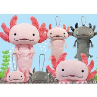 Hola Salamanders Plush Collection