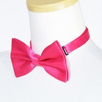 ACDC RAG Plain Bow Tie