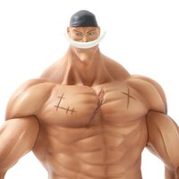 One Piece DXF - The Grandline Men Special