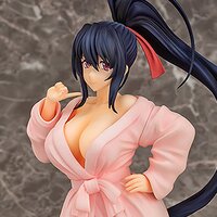 High School DxD Hero Akeno Himejima: Bathrobe Ver. 1/7 Scale Figure