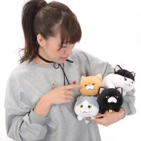 Bucha Neko-san Cat Plush Collection (Standard)