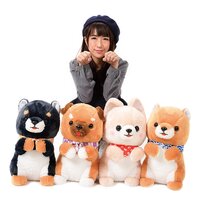 Mameshiba San Kyodai Begging Plush Collection (Big)
