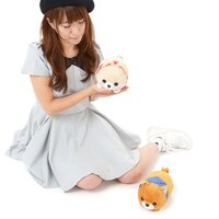 Tsumikko Mameshiba San Kyodai Tottering Dog Plush Collection