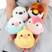 Kotori Tai Tamago kara Kururinpa Bird Plush Collection (Standard)