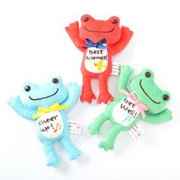 Pickles the Frog Message Magnets