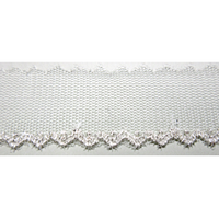 Atelier Pierrot Silver Lamé Tulle Lace