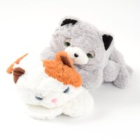A Cat I Am Lying Cross-Legged Plush Collection (Big)