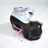 ACDC RAG Pastel Cat Cap