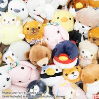 Amuse Plush Lucky Set (Standard)