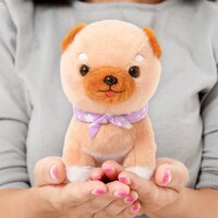 Mameshiba San Kyodai Funwari Yume no Kuni Dog Plush Collection (Standard)