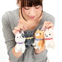 Mameshiba San Kyodai Dressed Up Dog Plush Collection (Ball Chain)