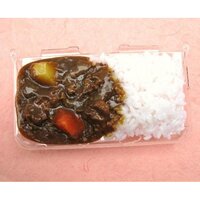 Nintendo Handhelds Curry Case
