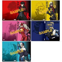 Persona 5 the Animation Treasure Clear File Collection