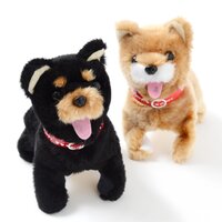 Mameshiba Acrobat Plush Collection