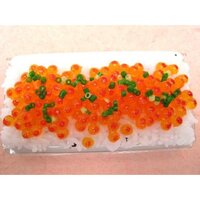 Nintendo DS Series Ikura Don Food Sample Case