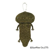 Hola! Salamanders