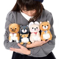 Mameshiba San Kyodai Begging Plush Collection (Standard)