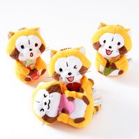 Rascal the Raccoon Cuddly Plush Collection (Ball Chain)