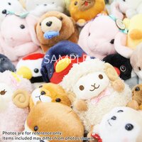 Amuse Plush Bargain Lucky Sets (Standard)