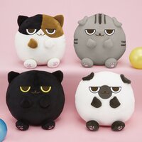 Marumochi Neko Standard Plush Collection