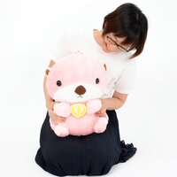 Mucchiri Rakkun Otter Plush Collection (Big)