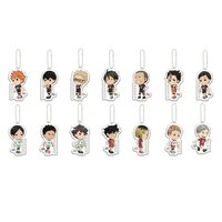 Haikyu!! Kyun Chara Keychains