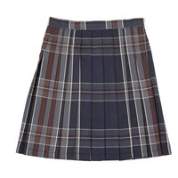 Teens Ever Navy Blue x Brown High School Uniform Skirt