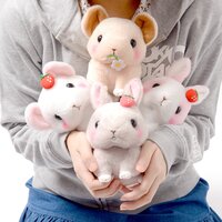 Kyun to Naki Usagi Noichigo Pika Plush Collection (Standard)