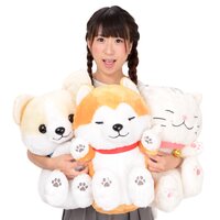 Dokodemo Nekkorogari Tai Animal Plush Collection (Big)