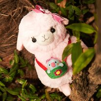 kids alpacasso