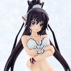 IS <Infinite Stratos> 2 Houki Shinonono: Swimsuit Ver.