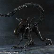 S.H.MonsterArts Alien vs. Predator Alien Warrior