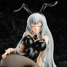 Ikki Tousen: Extravaganza Epoch Choun Shiryu: Bunny Ver.