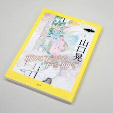 Stepping Back to See the Underneath: Akira Yamaguchi Artworks