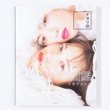 Shinobu Igari 365-Day Makeup Encyclopedia