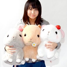 Kyun to Naki Usagi Noichigo Pika Plush Collection (Big)