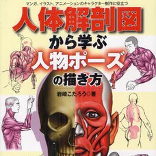 How to Draw Human Poses by Learning from Anatomical Figures